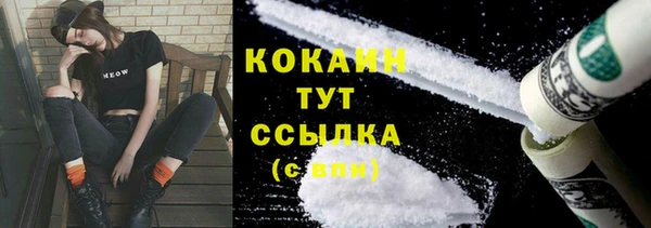 прущие грибы Бронницы