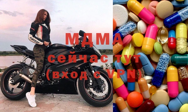 прущие грибы Бронницы