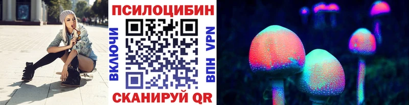 Купить  Ковылкино  Псилоцибиновые грибы Magic Shrooms 